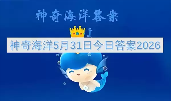 img_6a1bef283bd8d30.webp
