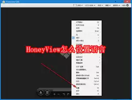 img_6a1e86605dbb130.webp