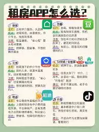img_6a1e8e6d2575331.webp