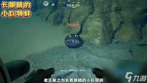 深海迷航2小巨颚蚌彩蛋位置