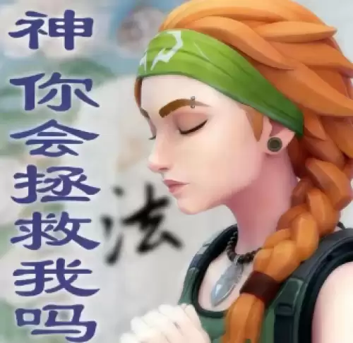 斯凯