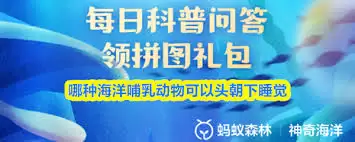img_6a20e721141d531.webp
