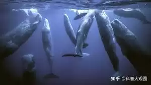 img_6a20e721141dd32.webp