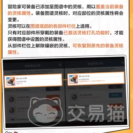 img_6a21030fd2a2335.webp