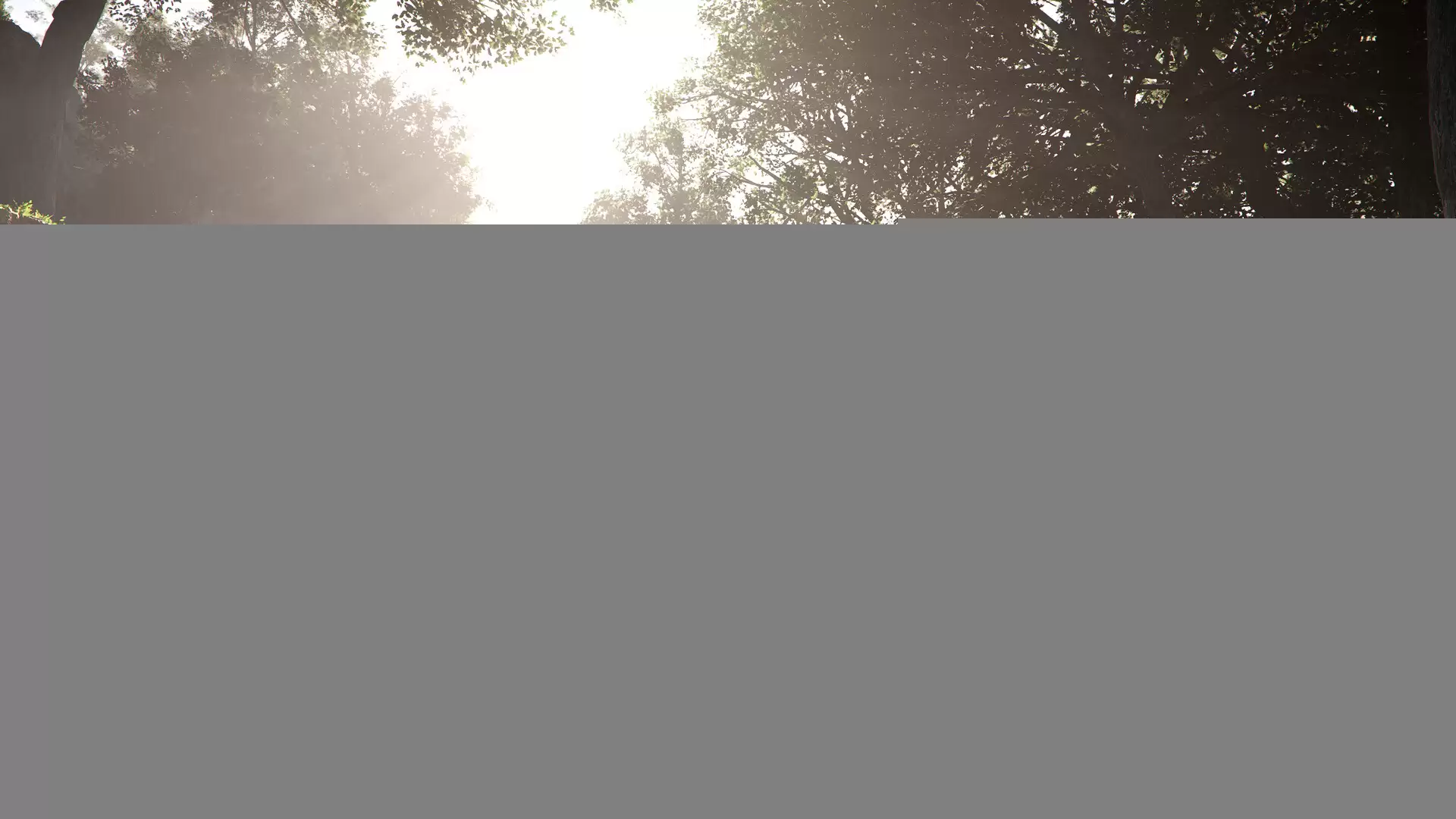 img_6a224d4b5840c30.webp