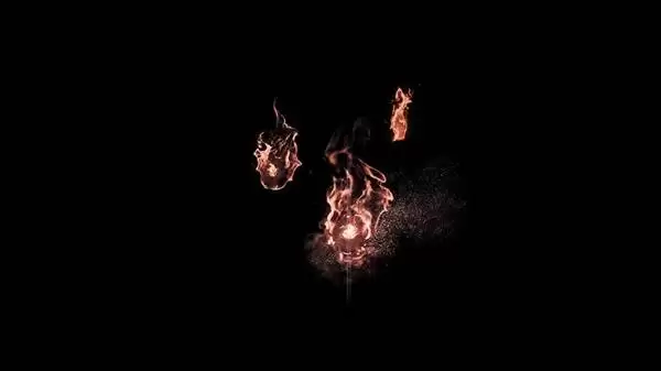 img_6a2264f26055c33.webp