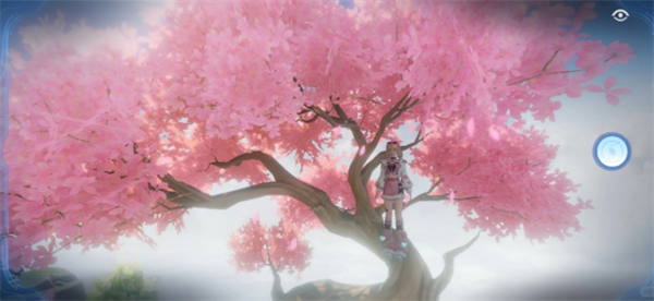 img_6a22c06d9c1f934.png
