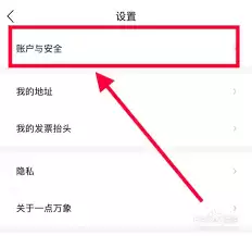 一点万象如何开发票
