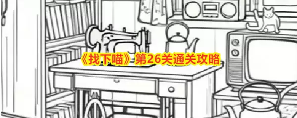 img_6a239f39a41c830.webp