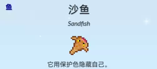 沙鱼