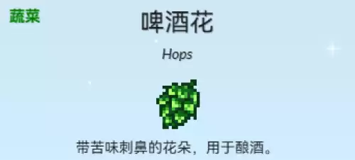 啤酒花
