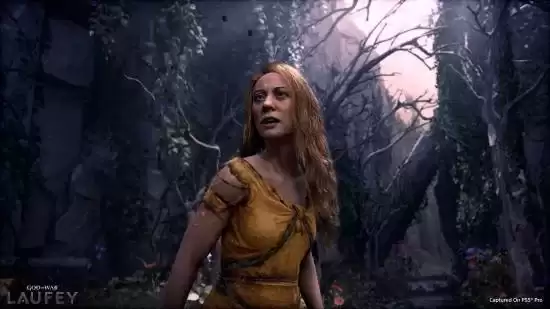 img_6a23cad7b5ea738.webp