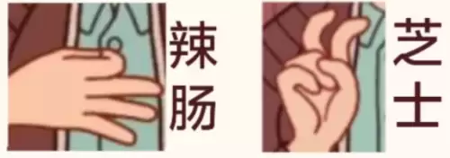 手语 手语