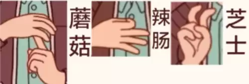 手语 手语