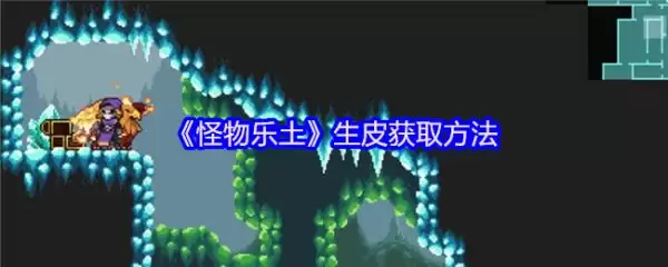 img_6a24f52791ebd30.webp