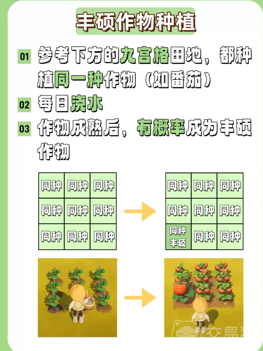 img_6a24fbc2db15932.webp