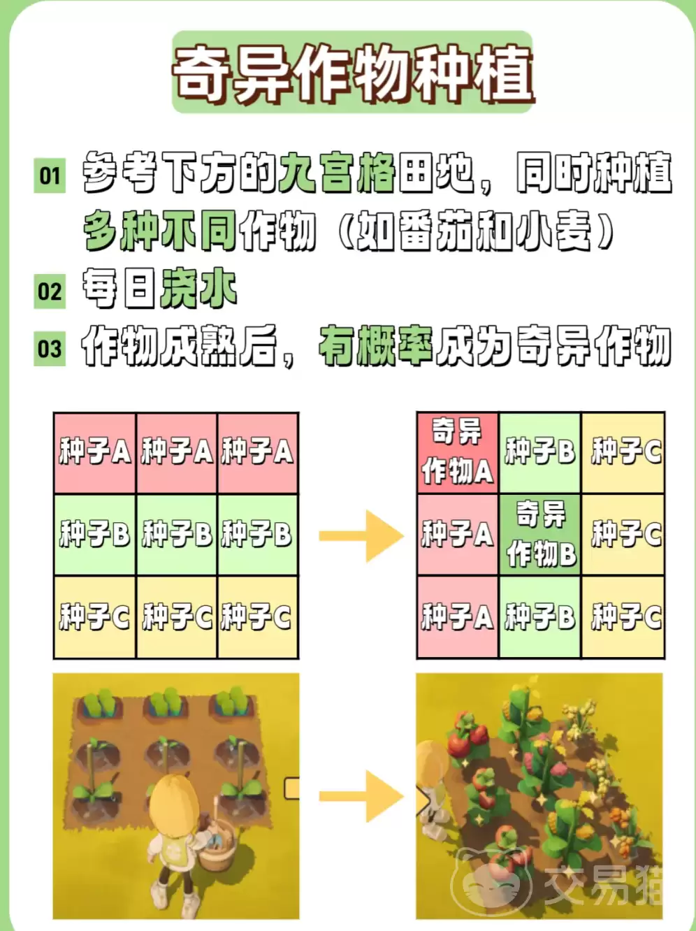 img_6a24fbc2db15f33.webp
