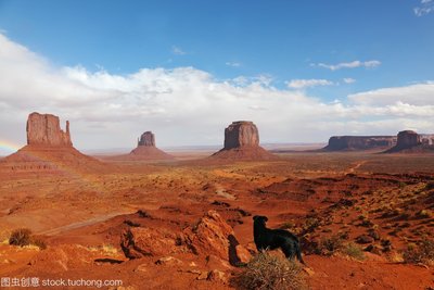 img_6a25395fc207631.jpg