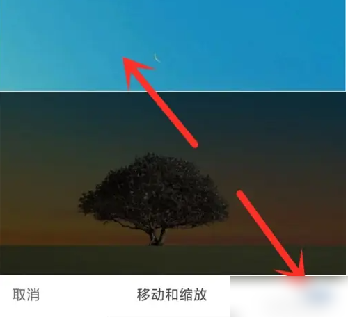 img_6a26519b90a0333.png
