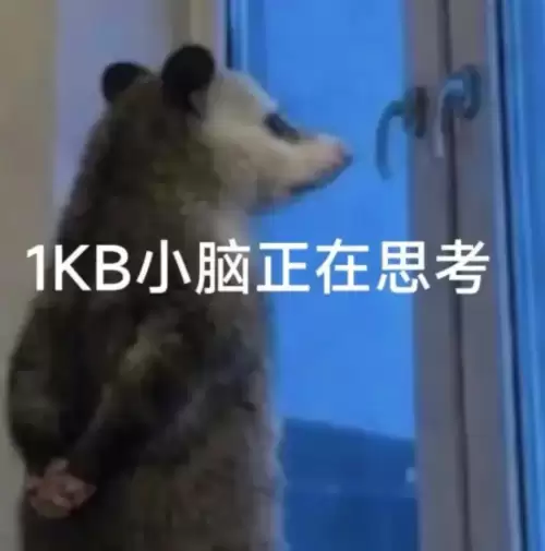背手负鼠表情包8 背手负鼠表情包8