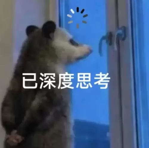 背手负鼠表情包11 背手负鼠表情包11
