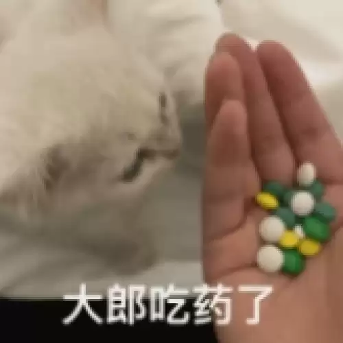 大郎该喝药了搞笑图片合集11