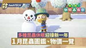 img_6a27b140d182330.webp