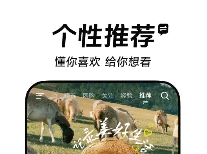 img_6a28b4ec2fb3234.webp