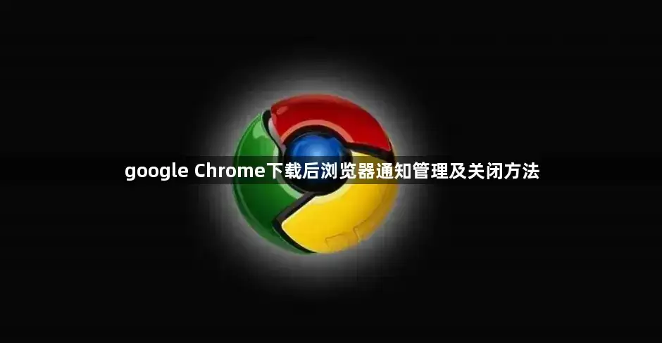 img_6a28bfbfd236530.webp