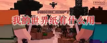 img_6a28d48f6e38c31.webp