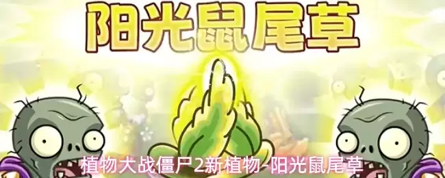 植物大战僵尸2全新植物-阳光鼠尾草