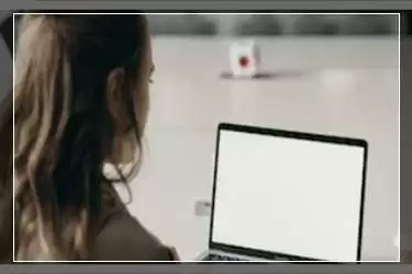 淘宝怎么薅羊毛攻略？淘宝薅羊毛攻略都是怎么来的
